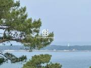 Maison de luxe de 6 pièces en vente à Pyla sur Mer,...