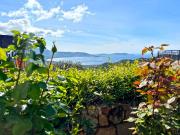 Maison de luxe de 7 pièces en vente Lumio, Corse