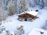 Maison de luxe de 8 pièces en vente à Demi Quartier, France