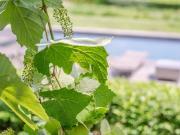 Maison de luxe de 8 pièces en vente à Ramatuelle,...