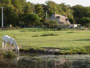 Maison de prestige de 168 m2 en vente Saint Amand...