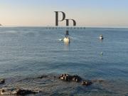 Maison de prestige de 28 m2 en vente Carqueiranne, France