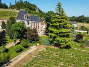 Maison de prestige de 500 m2 en vente Vernou sur Brenne,...
