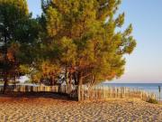 Maison de prestige de 86 m2 en vente Arès, France