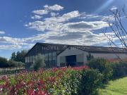 Maison de prestige de 87 m2 en vente Nîmes, France