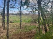 Maison de prestige en vente Grimaud, Provence Alpes Côte...