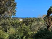 Maison de prestige en vente Grimaud, Provence Alpes Côte...