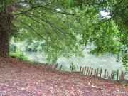 Maison de village 3 pièces 54 m²