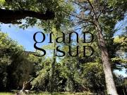 Maison de village en pierre à vendre environ 180 m²...