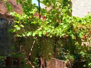 Maison de village, remise avec petit exterieur 106m² Trausse