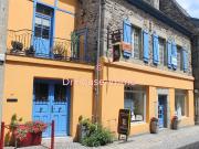 MAISON DE VILLE AVEC JARDIN ET BOUTIQUE MAISON DE VILLE AVEC JARDIN ET BOUTIQUE