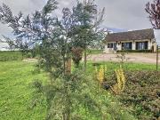 Maison Dependances Terrain 6000m² 90m² Saint Berain sous...