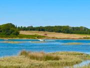 Maison en bord de mer avec jardin