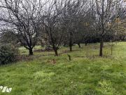 Maison en vente à Bréhan, Bretagne, 74080€