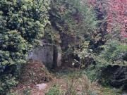 Maison en vente à Calais, Hauts de France, 255320€