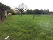 Maison en vente à Capelle et Masmolène, Occitanie, 249000€