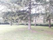 Maison en vente à Chémery, Centre Val de Loire, 394550€