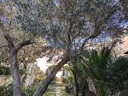 Maison en vente à Marseille 8e Arrondissement, Provence...