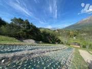 Maison en vente à Montclar, Provence Alpes Côte...