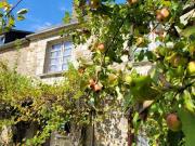 Maison en vente à Pleslin Trigavou, Bretagne, 265710€