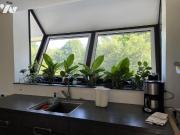 Maison en vente à Pleuven, Bretagne, 815100€