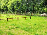 Maison en vente à Saint Josse, Hauts de France, 327000€