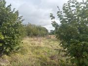 Maison en vente à Saint Pardoux Isaac, Nouvelle...