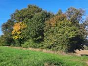 Maison en vente à Vicq sur Nahon, Centre Val de Loire,...