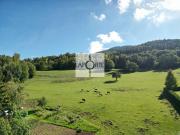 Maison individuelle, rare sur le secteur « Sur les Bois...