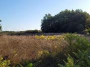 Maison Montaigu De Quercy Tarn Et Garonne ELS97102021