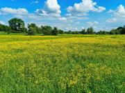 Maison neuve 4 pièces 105 m²