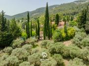 MAISON OLIVERAIE PROVENCE 83640 SAINT ZACHARIE