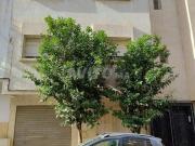 Maison R+2 à vendre