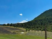 Maison rénovée avec belle vue ? Volvent 26