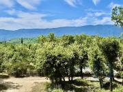 Maison Sur 4500 M² De Terrain 120m² Apt