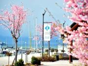 Maison T 4, jardin, garage et stationnement. Dreamo. Ch