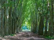 Maison Toulon 5 pièces Domaine de Campion