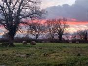 Maison Vicq Exemplet 36400 8 pièce s 320 m2