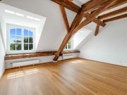 Maisonette Dachwohnung in historischem Basler...