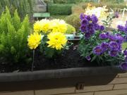 Maisonette Wohnung in Mariendorf, provisionsfrei