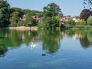 maison/villa 4 pièces