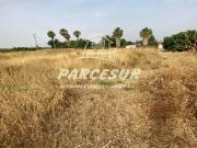 MAJANEQUE Estupendo precio! Parcela de 1.250m para...