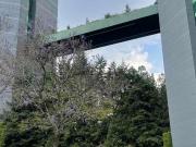 Majestuso Penthouse Lomas Country