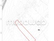 Majjatia ouled taleb