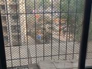 Manas Anand 2 Bedroom 750 Sq. Ft. Apartment in...