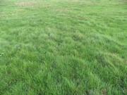 Mandres les Roses Vente Terrain 94