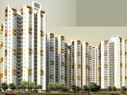 Noida Extension 4 BHK Penthouse For Sale Greater Noida Noida Extension 4 BHK Penthouse For Sale Greater Noida