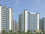 Manglam Rangoli Greens,Panchyawala 2 BHK Apartment For...