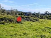 Mangualde Viseu 100678458