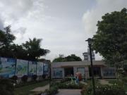 Manjari Budruk 1 BHK Apartment For Sale Pune